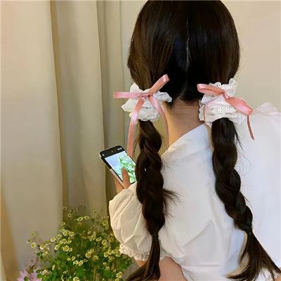 狮子护卫队第一季